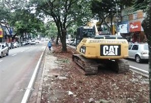 População se divide quando a pergunta é sobre a retirada das espinhas de peixe da Avenida Brasil em Maringá